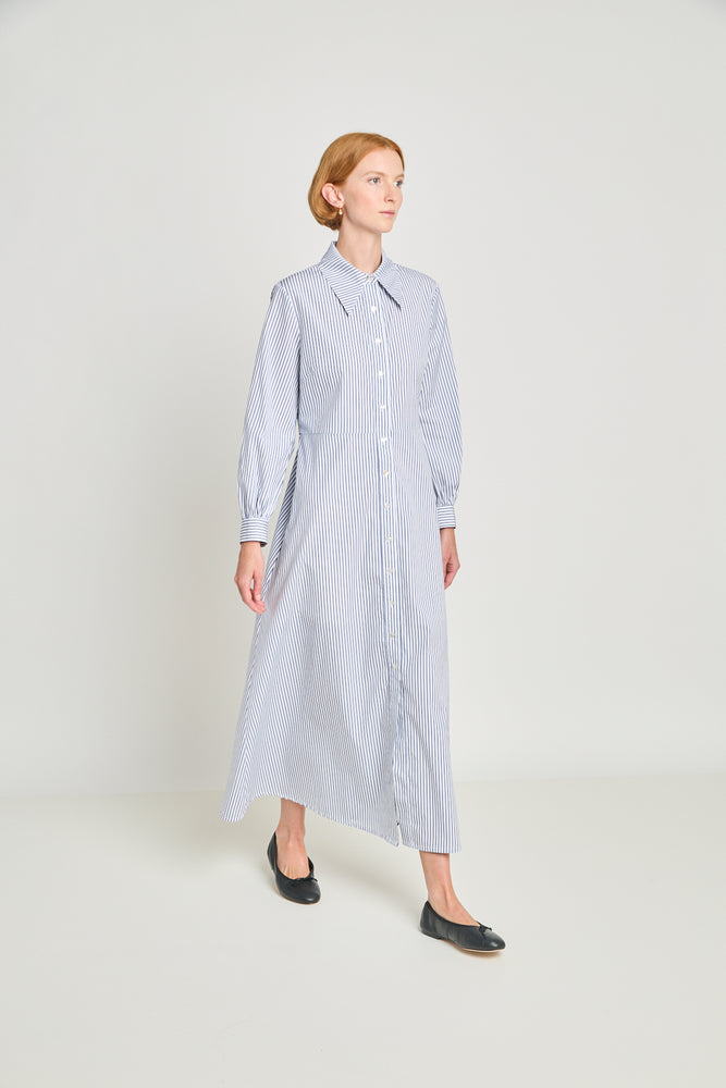 Twenty -Seven Names Wish Fulfilment Dress